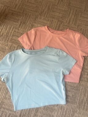 wild fable Pastel Pink and Light Blue Short Sleeve Tee Set